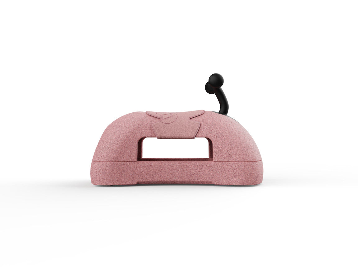 MY FIRST-ROSE-SIDEVIEW-003.701.2.jpg